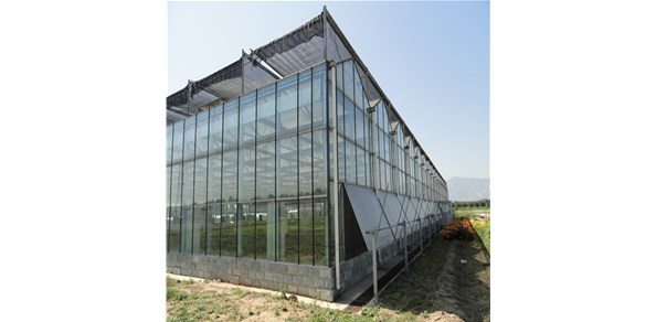 1月25日 營銷政策調整，市場成交減少！