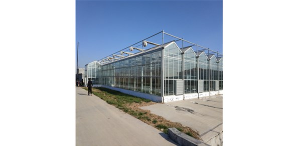 2021年1月25日中國玻璃綜合指數